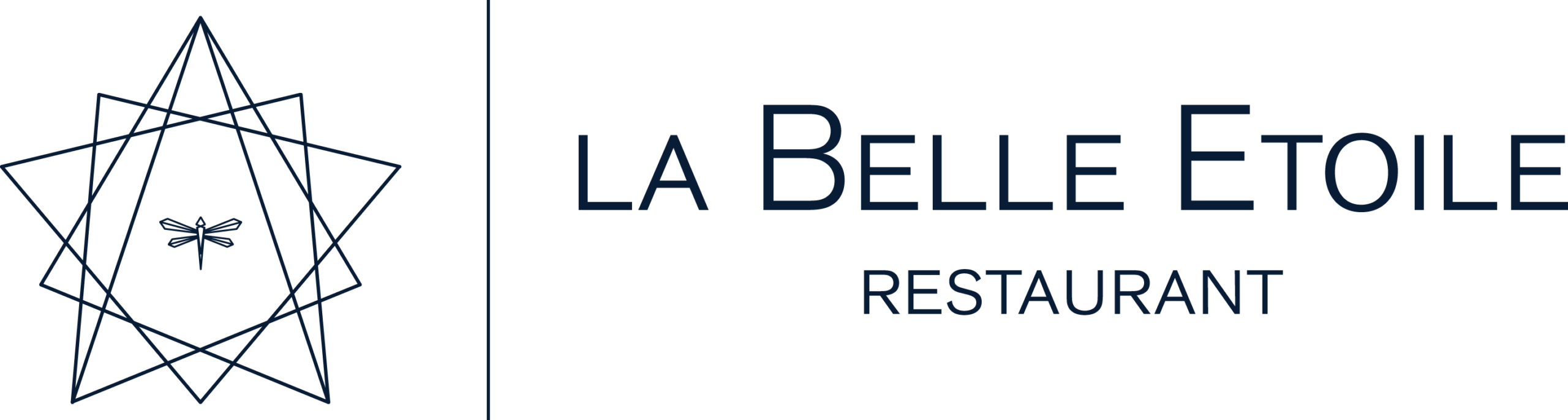 logotype